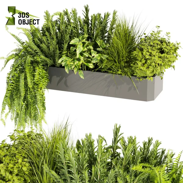 3d model plant free Vegetation tree box Foliage Pothos rosemary fern grass bush 3D Plant Library Plant Generator Vegetation Rendering Plant Simulation Virtual Botany Ecological Simulation Digital Horticulture Plant Design Software planter pot greenhouse balcony decorative cinema 4d 3ds max blender enscape fbx obj Rhino Sketchup lumion low poly