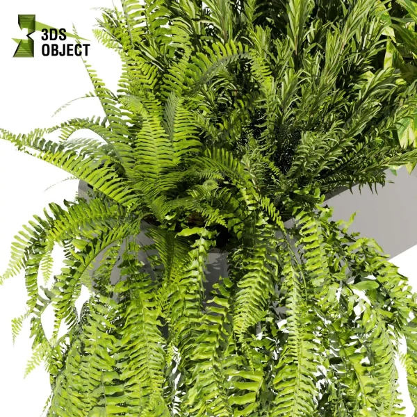 3d model plant free Vegetation tree box Foliage Pothos rosemary fern grass bush 3D Plant Library Plant Generator Vegetation Rendering Plant Simulation Virtual Botany Ecological Simulation Digital Horticulture Plant Design Software planter pot greenhouse balcony decorative cinema 4d 3ds max blender enscape fbx obj Rhino Sketchup lumion low poly