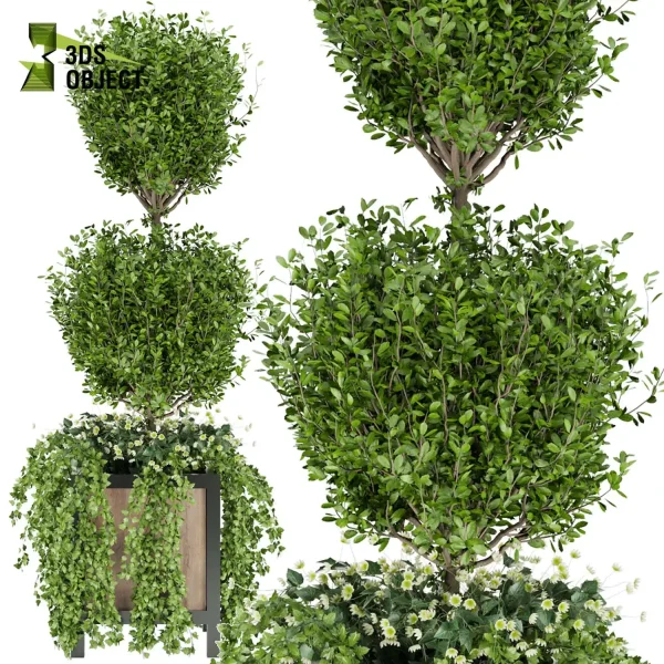 3d model plant free Vegetation tree box Foliage Shurb ivy topiary closeup 3D Hanging Vegetation Plant Models Foliage Assets Botanical Models Greenery Assets Flora Objects cinema 4d 3ds max blender enscape fbx obj Rhino Sketchup lumion