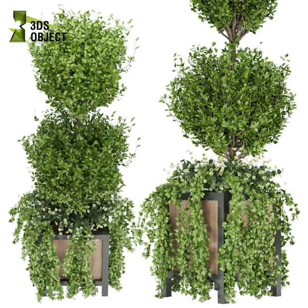 3d model plant free Vegetation tree box Foliage Shurb ivy topiary closeup 3D Hanging Vegetation Plant Models Foliage Assets Botanical Models Greenery Assets Flora Objects cinema 4d 3ds max blender enscape fbx obj Rhino Sketchup lumion