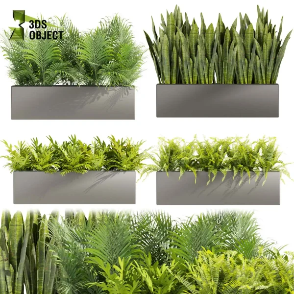 3d model plant free Vegetation tree box Foliage sansveria fern monstera palm high poly Vegetation Rendering Plant Simulation Virtual Botany Ecological Simulation Digital Horticulture Plant Design Software planter pot greenhouse cinema 4d 3ds max blender enscape fbx obj Rhino Sketchup lumion