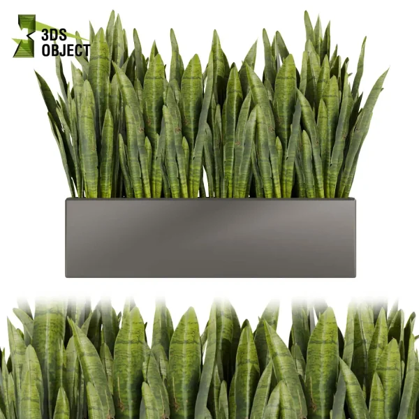 3d model plant free Vegetation tree box Foliage sansveria fern monstera palm high poly Vegetation Rendering Plant Simulation Virtual Botany Ecological Simulation Digital Horticulture Plant Design Software planter pot greenhouse cinema 4d 3ds max blender enscape fbx obj Rhino Sketchup lumion