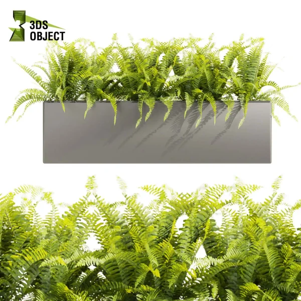 3d model plant free Vegetation tree box Foliage sansveria fern monstera palm high poly Vegetation Rendering Plant Simulation Virtual Botany Ecological Simulation Digital Horticulture Plant Design Software planter pot greenhouse cinema 4d 3ds max blender enscape fbx obj Rhino Sketchup lumion