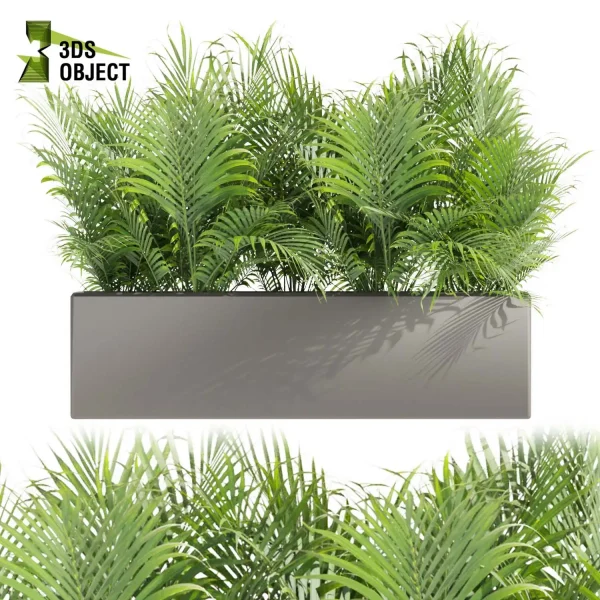 3d model plant free Vegetation tree box Foliage sansveria fern monstera palm high poly Vegetation Rendering Plant Simulation Virtual Botany Ecological Simulation Digital Horticulture Plant Design Software planter pot greenhouse cinema 4d 3ds max blender enscape fbx obj Rhino Sketchup lumion