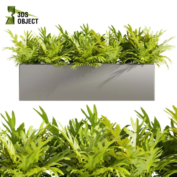 3d model plant free Vegetation tree box Foliage sansveria fern monstera palm high poly Vegetation Rendering Plant Simulation Virtual Botany Ecological Simulation Digital Horticulture Plant Design Software planter pot greenhouse cinema 4d 3ds max blender enscape fbx obj Rhino Sketchup lumion