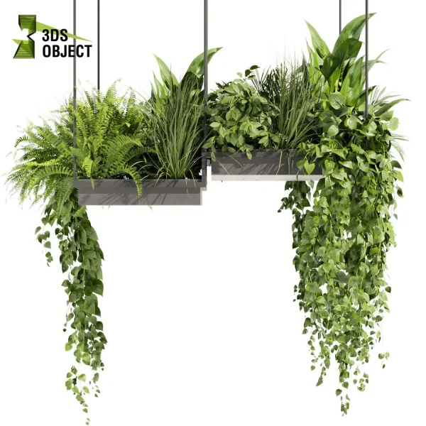 3d model plant hanging free Botanical Models Pothos grass palm fern banana monstera Virtual Garden Design cinema 4d 3ds max blender enscape fbx obj Rhino Sketchup lumion 3D architectural visualization
