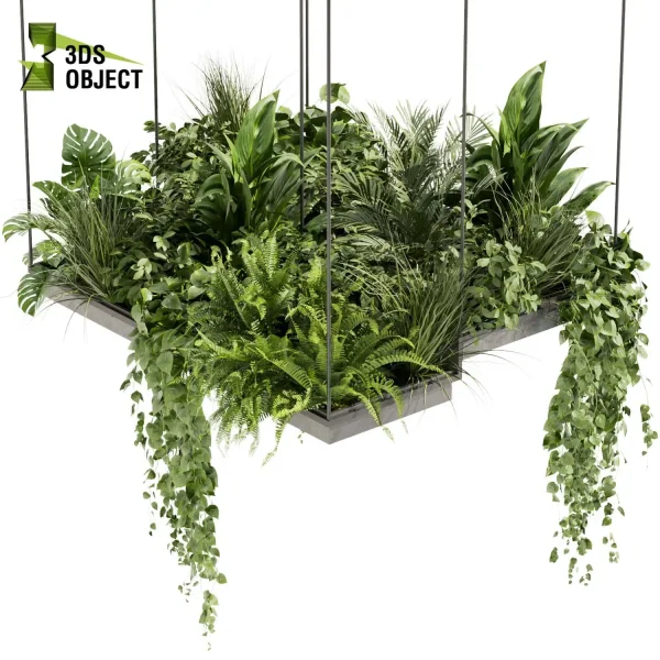 3d model plant hanging free Botanical Models Pothos grass palm fern banana monstera Virtual Garden Design cinema 4d 3ds max blender enscape fbx obj Rhino Sketchup lumion 3D architectural visualization