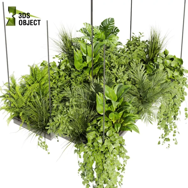 3d model plant hanging free Botanical Models Pothos grass palm fern banana monstera Virtual Garden Design cinema 4d 3ds max blender enscape fbx obj Rhino Sketchup lumion 3D architectural visualization