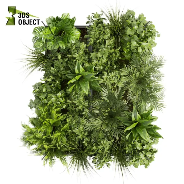 3d model plant hanging free Botanical Models Pothos grass palm fern banana monstera Virtual Garden Design cinema 4d 3ds max blender enscape fbx obj Rhino Sketchup lumion 3D architectural visualization