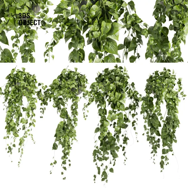 3d model plant hanging free Botanical Models Pothos Devil's ivy planter 3D Flora Lush Environment Greenery Generator flowerpot interior design cinema 4d 3ds max blender enscape fbx obj Rhino Sketchup lumion rendering purchase