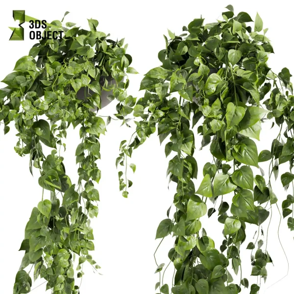 3d model plant hanging free Botanical Models Pothos Devil's ivy planter 3D Flora Lush Environment Greenery Generator flowerpot interior design cinema 4d 3ds max blender enscape fbx obj Rhino Sketchup lumion rendering purchase