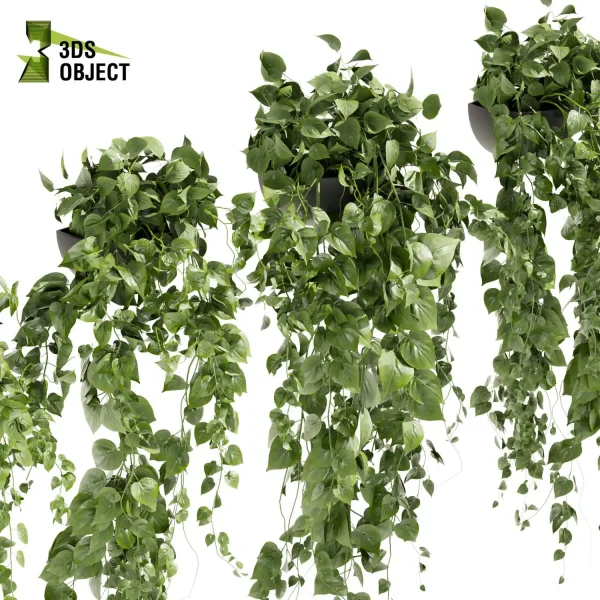 3d model plant hanging free Botanical Models Pothos Devil's ivy planter 3D Flora Lush Environment Greenery Generator flowerpot interior design cinema 4d 3ds max blender enscape fbx obj Rhino Sketchup lumion rendering purchase
