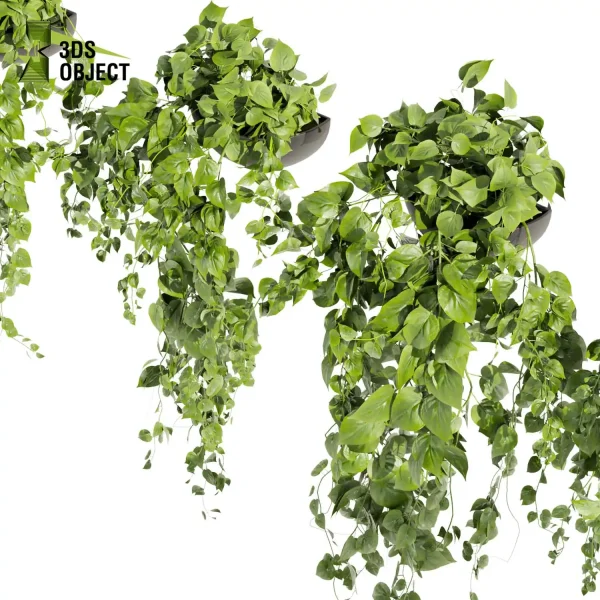 3d model plant hanging free Botanical Models Pothos Devil's ivy planter 3D Flora Lush Environment Greenery Generator flowerpot interior design cinema 4d 3ds max blender enscape fbx obj Rhino Sketchup lumion rendering purchase