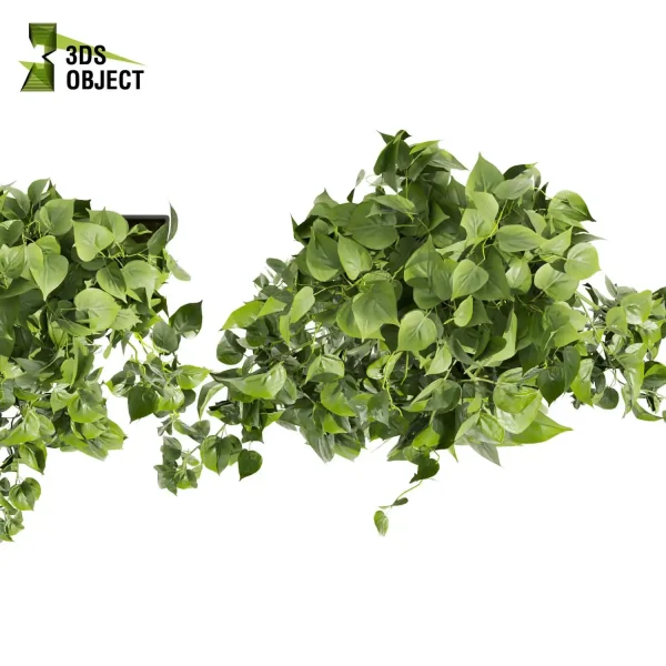 3d model plant hanging free Botanical Models Pothos Devil's ivy planter 3D Flora Lush Environment Greenery Generator flowerpot interior design cinema 4d 3ds max blender enscape fbx obj Rhino Sketchup lumion rendering purchase