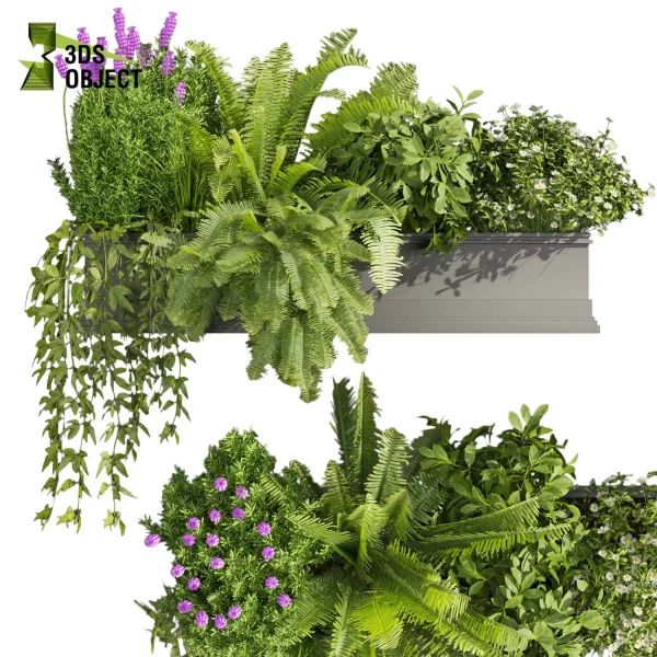 3d model plant free Vegetation tree box Foliage Fern bush lupinus flower Vegetation Assets Foliage Generator Plant Rendering 3D Flora Lush Environment Greenery Generator Botanical Rendering planter pot greenhouse balcony cinema 4d 3ds max blender enscape fbx obj Rhino Sketchup lumion high poly