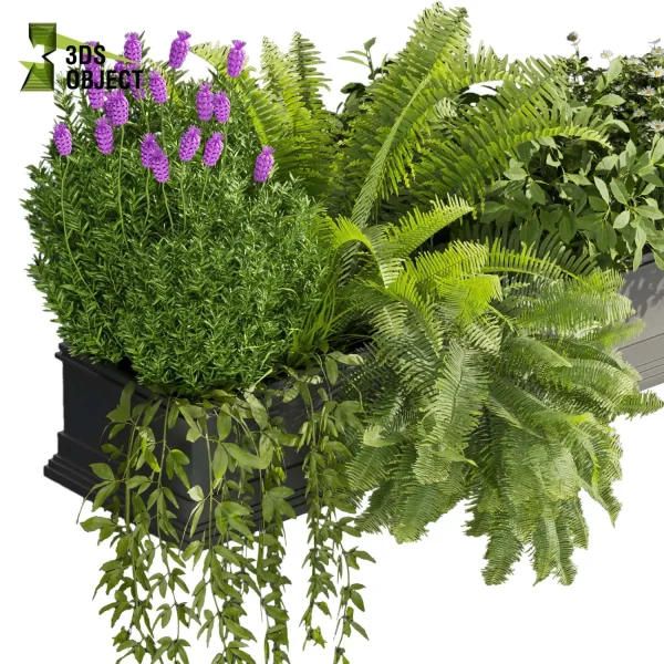 3d model plant free Vegetation tree box Foliage Fern bush lupinus flower Vegetation Assets Foliage Generator Plant Rendering 3D Flora Lush Environment Greenery Generator Botanical Rendering planter pot greenhouse balcony cinema 4d 3ds max blender enscape fbx obj Rhino Sketchup lumion high poly