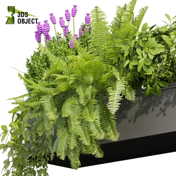 3d model plant free Vegetation tree box Foliage Fern bush lupinus flower Vegetation Assets Foliage Generator Plant Rendering 3D Flora Lush Environment Greenery Generator Botanical Rendering planter pot greenhouse balcony cinema 4d 3ds max blender enscape fbx obj Rhino Sketchup lumion high poly