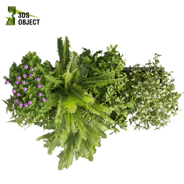 3d model plant free Vegetation tree box Foliage Fern bush lupinus flower Vegetation Assets Foliage Generator Plant Rendering 3D Flora Lush Environment Greenery Generator Botanical Rendering planter pot greenhouse balcony cinema 4d 3ds max blender enscape fbx obj Rhino Sketchup lumion high poly