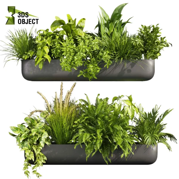 3d model plant free Vegetation tree box Foliage banana peace lily bush pampas pothos fern palm Foliage Rendering Digital Landscaping 3D Plant Creation Virtual Garden Design Botanical Simulation Plant Visualization Vegetation Modeling cinema 4d 3ds max blender enscape fbx obj Rhino Sketchup lumion low poly