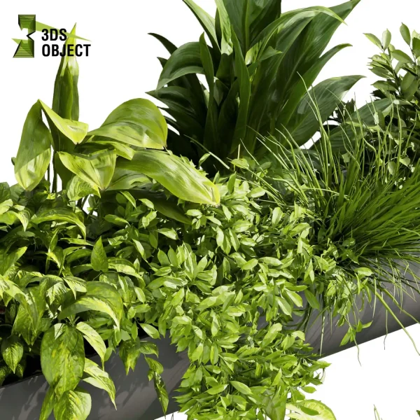 3d model plant free Vegetation tree box Foliage banana peace lily bush pampas pothos fern palm Foliage Rendering Digital Landscaping 3D Plant Creation Virtual Garden Design Botanical Simulation Plant Visualization Vegetation Modeling cinema 4d 3ds max blender enscape fbx obj Rhino Sketchup lumion low poly