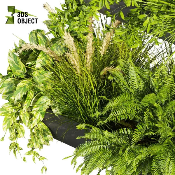 3d model plant free Vegetation tree box Foliage banana peace lily bush pampas pothos fern palm Foliage Rendering Digital Landscaping 3D Plant Creation Virtual Garden Design Botanical Simulation Plant Visualization Vegetation Modeling cinema 4d 3ds max blender enscape fbx obj Rhino Sketchup lumion low poly