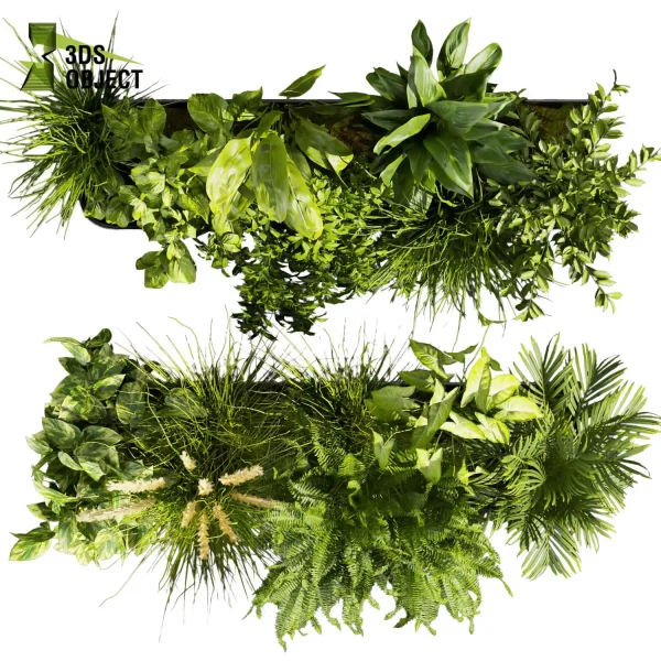 3d model plant free Vegetation tree box Foliage banana peace lily bush pampas pothos fern palm Foliage Rendering Digital Landscaping 3D Plant Creation Virtual Garden Design Botanical Simulation Plant Visualization Vegetation Modeling cinema 4d 3ds max blender enscape fbx obj Rhino Sketchup lumion low poly