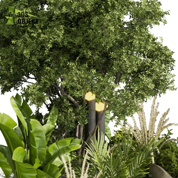 3d garden plant models botanical Visualization Landscape Foliage Vegetation Rendering Environment tree Design high poly Bush tree pampas palm fern banana Botanical Rendering Nature Simulation Plant Modeling Software cinema 4d 3ds max blender enscpae fbx obj Rhino Sketchup lumion