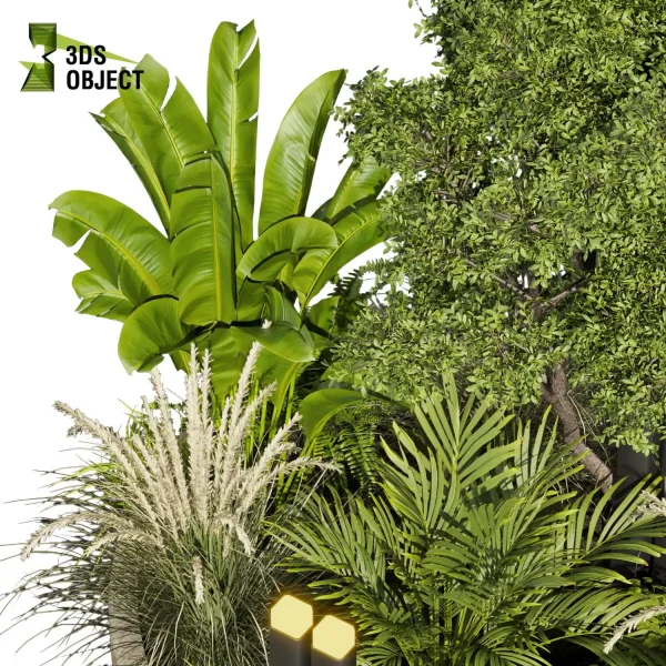 3d garden plant models botanical Visualization Landscape Foliage Vegetation Rendering Environment tree Design high poly Bush tree pampas palm fern banana Botanical Rendering Nature Simulation Plant Modeling Software cinema 4d 3ds max blender enscpae fbx obj Rhino Sketchup lumion