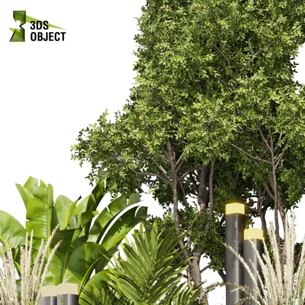 3d garden plant models botanical Visualization Landscape Foliage Vegetation Rendering Environment tree Design high poly Bush tree pampas palm fern banana Botanical Rendering Nature Simulation Plant Modeling Software cinema 4d 3ds max blender enscpae fbx obj Rhino Sketchup lumion