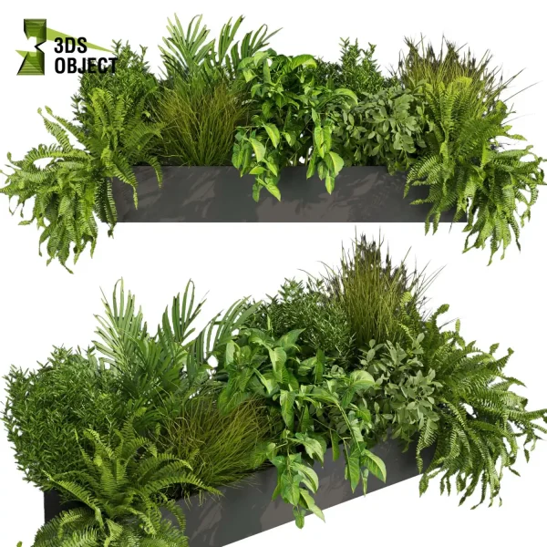 3d model plant free Vegetation tree box Foliage fern palm bush grass Landscape Design Software Foliage Rendering Digital Landscaping 3D Plant Creation Virtual Garden Design Botanical Simulation Plant Visualization Vegetation Modeling planter pot greenhouse balcony decorative hamedorea low poly