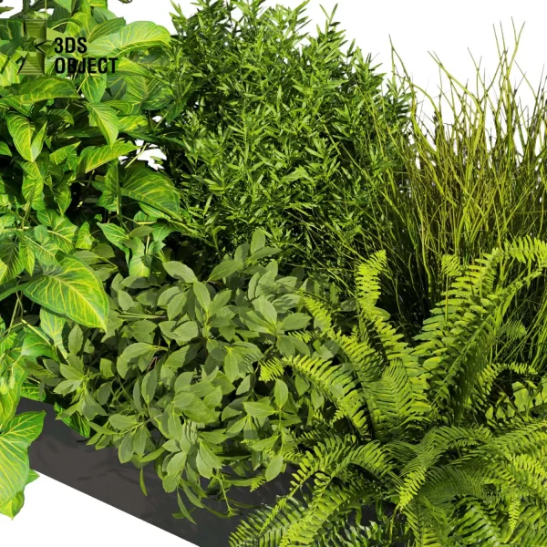3d model plant free Vegetation tree box Foliage fern palm bush grass Landscape Design Software Foliage Rendering Digital Landscaping 3D Plant Creation Virtual Garden Design Botanical Simulation Plant Visualization Vegetation Modeling planter pot greenhouse balcony decorative hamedorea low poly