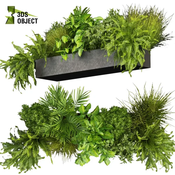 3d model plant free Vegetation tree box Foliage fern palm bush grass Landscape Design Software Foliage Rendering Digital Landscaping 3D Plant Creation Virtual Garden Design Botanical Simulation Plant Visualization Vegetation Modeling planter pot greenhouse balcony decorative hamedorea low poly