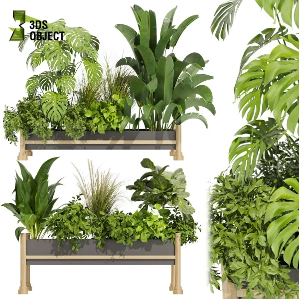3d model plant free Vegetation tree box Foliage Monstera pampas banana pothos bush fiddle Vegetation Assets Foliage Generator Plant Rendering 3D Flora Lush Environment Greenery Generator Botanical Rendering Nature Simulation Plant Modeling Software low poly cinema 4d 3ds max blender enscape fbx obj Rhino Sketchup lumion