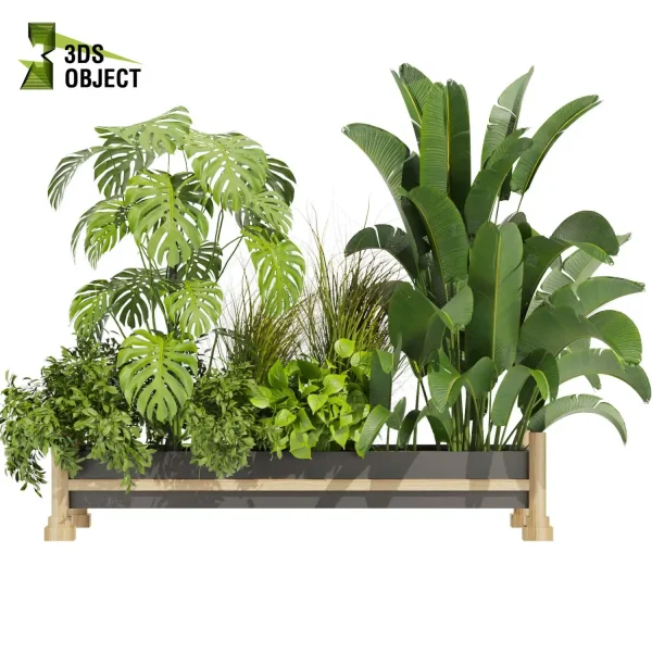 3d model plant free Vegetation tree box Foliage Monstera pampasbanana pothos bush fiddle Vegetation Assets Foliage Generator Plant Rendering 3D Flora Lush Environment Greenery Generator Botanical Rendering Nature Simulation Plant Modeling Software low poly cinema 4d 3ds max blender enscape fbx obj Rhino Sketchup lumion