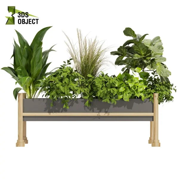 3d model plant free Vegetation tree box Foliage Monstera pampasbanana pothos bush fiddle Vegetation Assets Foliage Generator Plant Rendering 3D Flora Lush Environment Greenery Generator Botanical Rendering Nature Simulation Plant Modeling Software low poly cinema 4d 3ds max blender enscape fbx obj Rhino Sketchup lumion