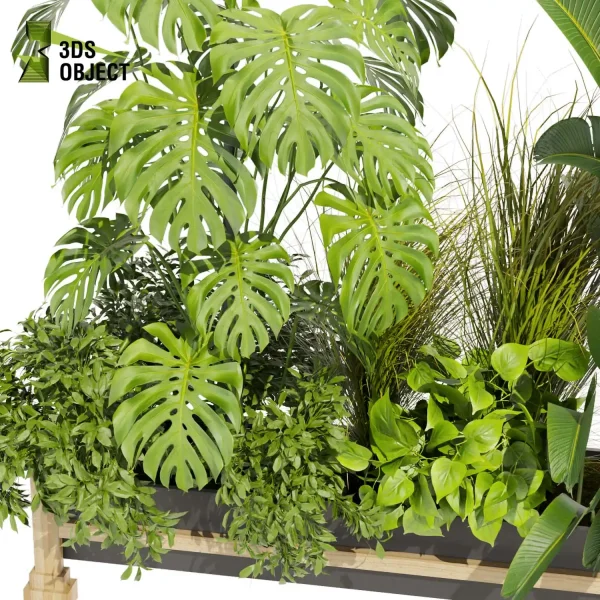 3d model plant free Vegetation tree box Foliage Monstera pampasbanana pothos bush fiddle Vegetation Assets Foliage Generator Plant Rendering 3D Flora Lush Environment Greenery Generator Botanical Rendering Nature Simulation Plant Modeling Software low poly cinema 4d 3ds max blender enscape fbx obj Rhino Sketchup lumion