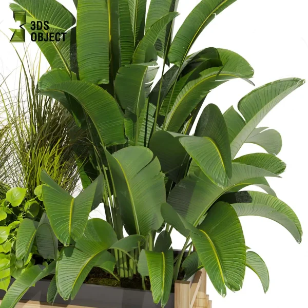 3d model plant free Vegetation tree box Foliage Monstera pampasbanana pothos bush fiddle Vegetation Assets Foliage Generator Plant Rendering 3D Flora Lush Environment Greenery Generator Botanical Rendering Nature Simulation Plant Modeling Software low poly cinema 4d 3ds max blender enscape fbx obj Rhino Sketchup lumion