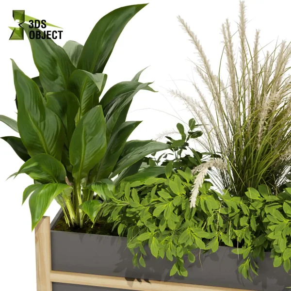 3d model plant free Vegetation tree box Foliage Monstera pampasbanana pothos bush fiddle Vegetation Assets Foliage Generator Plant Rendering 3D Flora Lush Environment Greenery Generator Botanical Rendering Nature Simulation Plant Modeling Software low poly cinema 4d 3ds max blender enscape fbx obj Rhino Sketchup lumion