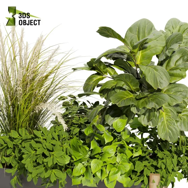 3d model plant free Vegetation tree box Foliage Monstera pampasbanana pothos bush fiddle Vegetation Assets Foliage Generator Plant Rendering 3D Flora Lush Environment Greenery Generator Botanical Rendering Nature Simulation Plant Modeling Software low poly cinema 4d 3ds max blender enscape fbx obj Rhino Sketchup lumion