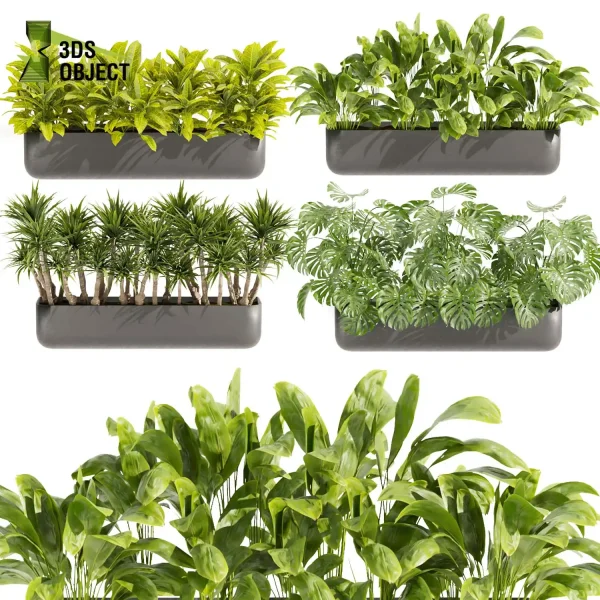 3d model plant free Vegetation tree box Foliage Corton banana monstera palm planter pot greenhouse balcony decorative hamedorea indoor bush Vegetation Assets Foliage Generator Plant Rendering 3D Flora Lush Environment Greenery Generator Botanical Rendering cinema 4d 3ds max blender enscape fbx obj Rhino Sketchup lumion