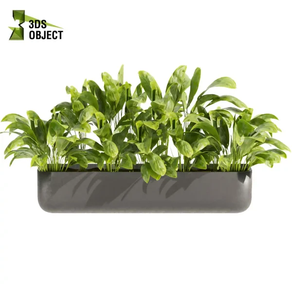 3d model plant free Vegetation tree box Foliage Corton banana monstera palm planter pot greenhouse balcony decorative hamedorea indoor bush Vegetation Assets Foliage Generator Plant Rendering 3D Flora Lush Environment Greenery Generator Botanical Rendering cinema 4d 3ds max blender enscape fbx obj Rhino Sketchup lumion
