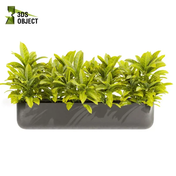 3d model plant free Vegetation tree box Foliage Corton banana monstera palm planter pot greenhouse balcony decorative hamedorea indoor bush Vegetation Assets Foliage Generator Plant Rendering 3D Flora Lush Environment Greenery Generator Botanical Rendering cinema 4d 3ds max blender enscape fbx obj Rhino Sketchup lumion