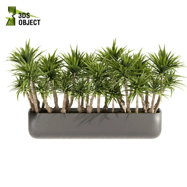 3d model plant free Vegetation tree box Foliage Corton banana monstera palm planter pot greenhouse balcony decorative hamedorea indoor bush Vegetation Assets Foliage Generator Plant Rendering 3D Flora Lush Environment Greenery Generator Botanical Rendering cinema 4d 3ds max blender enscape fbx obj Rhino Sketchup lumion