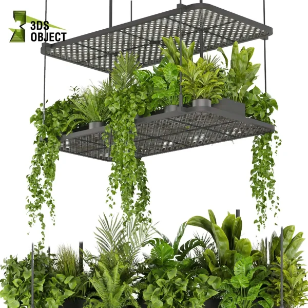 3d model plant hanging free Botanical Models fern pothos corton monstera banana palm planter deliciosa Swiss cheese decorative flowerpot cinema 4d 3ds max blender enscape fbx obj Rhino Sketchup lumion purchase