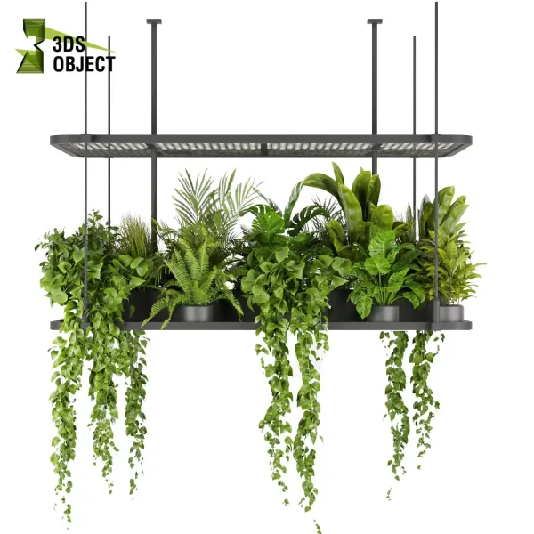 3d model plant hanging free Botanical Models fern pothos corton monstera banana palm planter deliciosa Swiss cheese decorative flowerpot cinema 4d 3ds max blender enscape fbx obj Rhino Sketchup lumion purchase