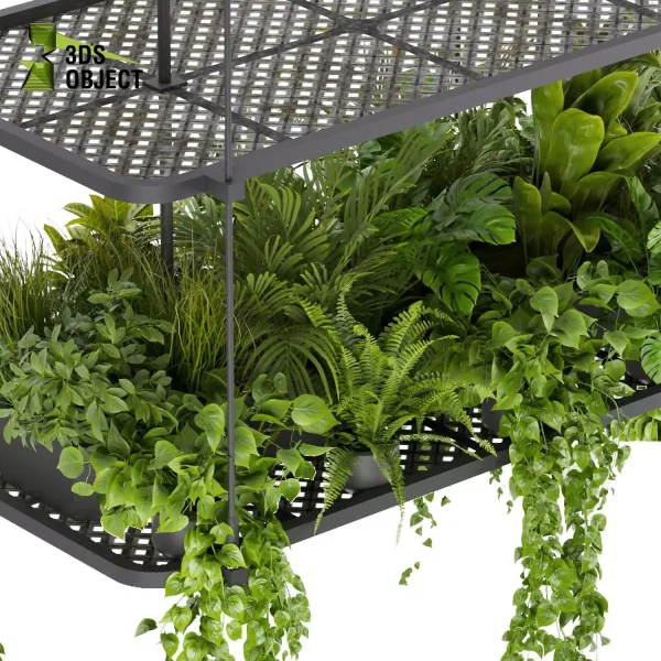 3d model plant hanging free Botanical Models fern pothos corton monstera banana palm planter deliciosa Swiss cheese decorative flowerpot cinema 4d 3ds max blender enscape fbx obj Rhino Sketchup lumion purchase