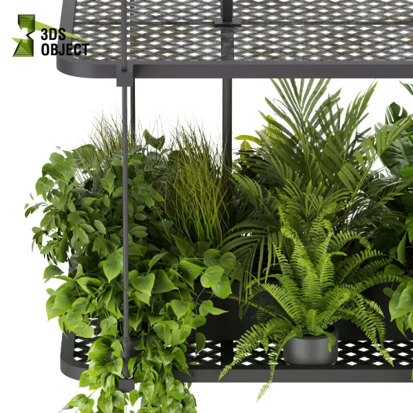 3d model plant hanging free Botanical Models fern pothos corton monstera banana palm planter deliciosa Swiss cheese decorative flowerpot cinema 4d 3ds max blender enscape fbx obj Rhino Sketchup lumion purchase