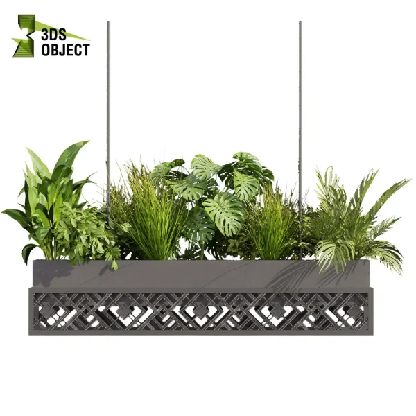 3d model plant hanging free Botanical Models Palm fern bush paradise mostera pampas Vegetation Rendering Virtual Botany Ecological Simulation architectural visualization cinema 4d 3ds max blender enscape fbx obj Rhino Sketchup lumion