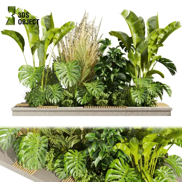 3d garden plant models botanical Visualization Landscape Foliage Vegetation Rendering Environment tree Design high poly bush banana monstera rubber pampas palm cinema 4d 3ds max blender enscpae fbx obj Rhino Sketchup lumion