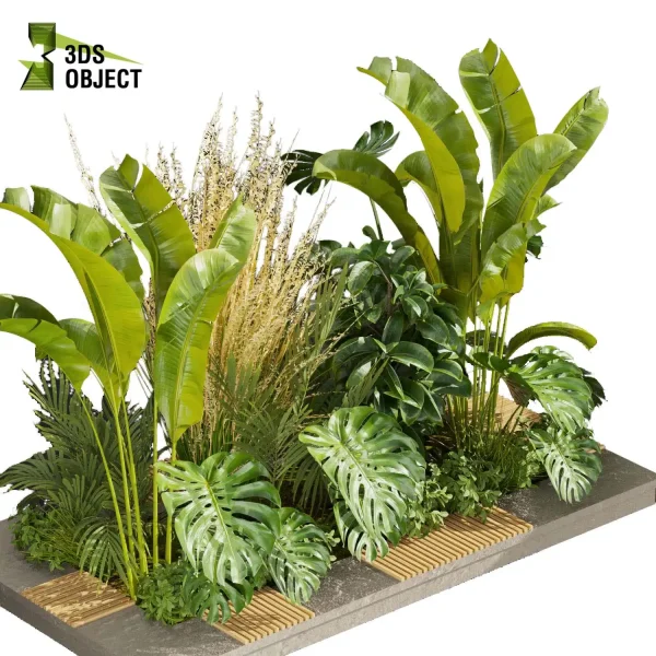 3d garden plant models botanical Visualization Landscape Foliage Vegetation Rendering Environment tree Design high poly bush banana monstera rubber pampas palm cinema 4d 3ds max blender enscpae fbx obj Rhino Sketchup lumion